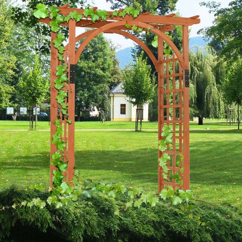 Арка шпалера Дарвин