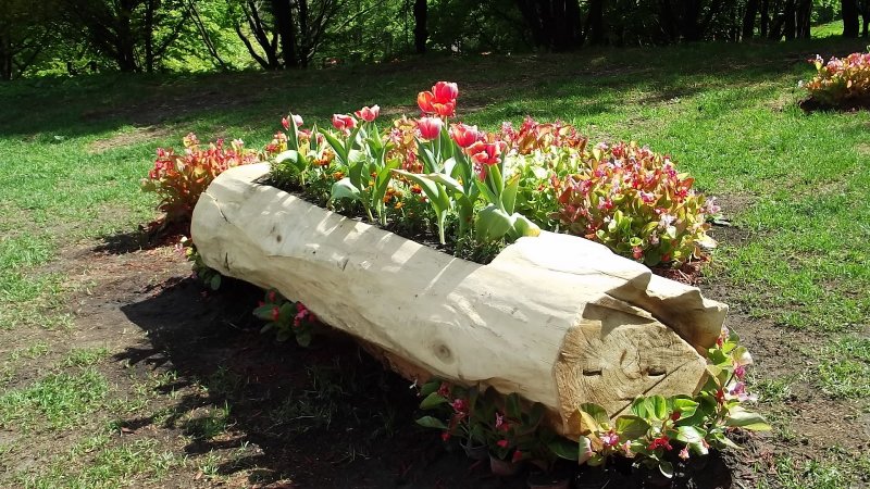 Клумба из бревна
