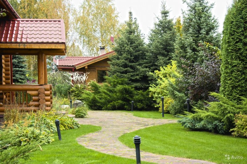 Клумба в пне