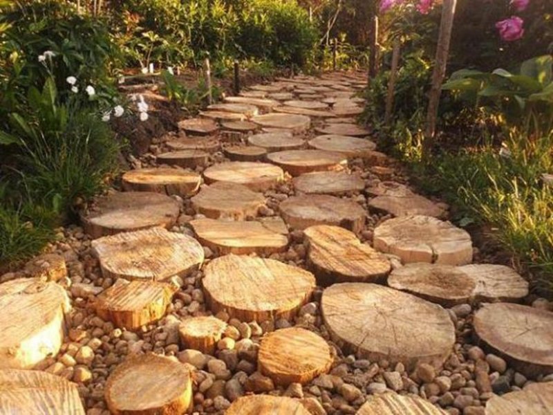 Скамейки из брёвен и коряг