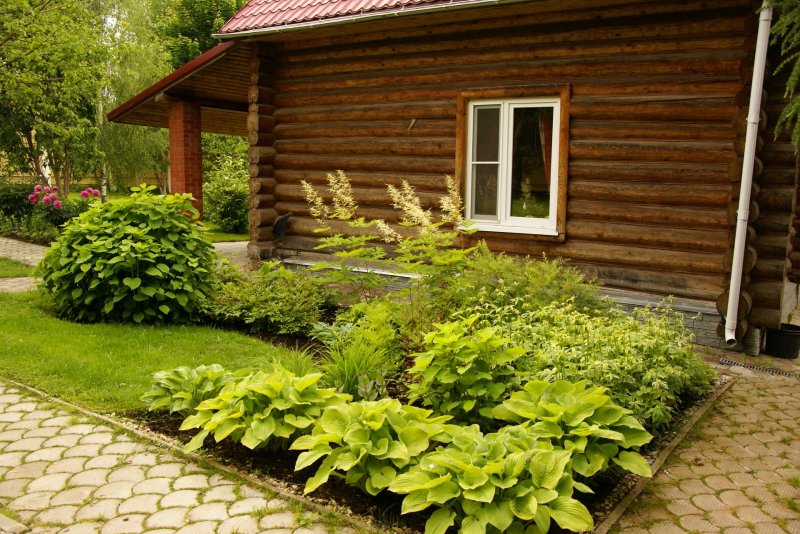 Подпорная стенка из дерева
