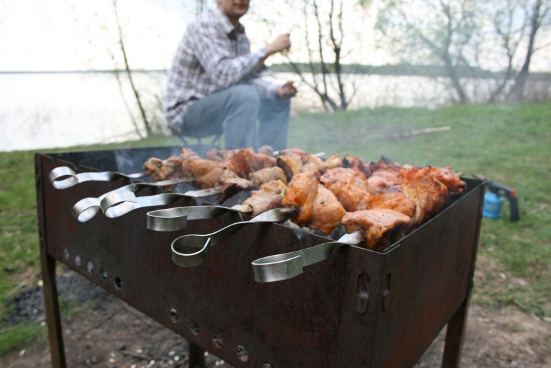 Шашлыки на природе май