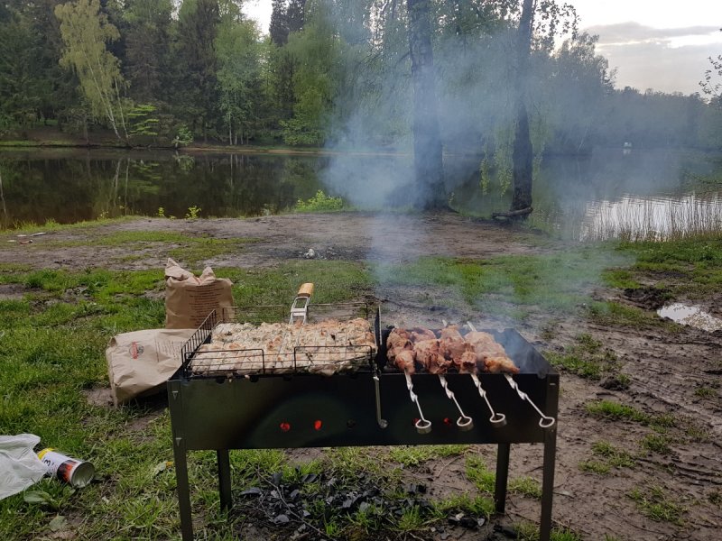 Штраф за шашлыки в лесу