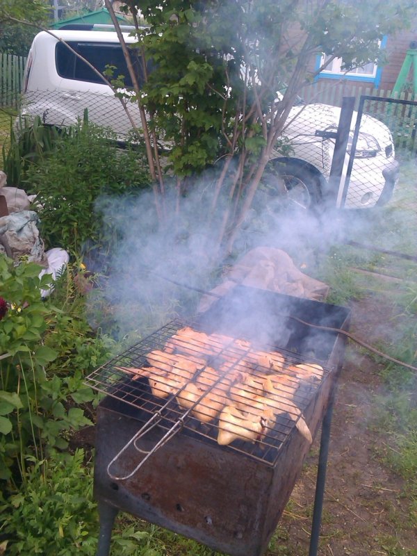 Шашлыки на даче