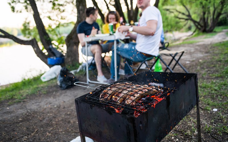 Пикник в парке с шашлыками