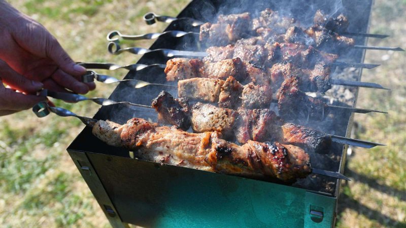 Шашлыки на мангале на озере Рица фото летом