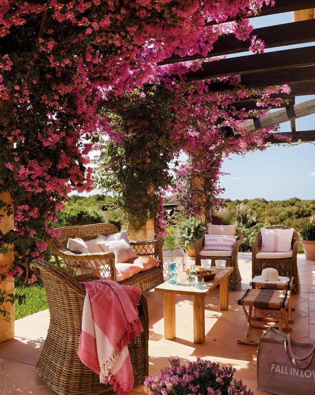 Bougainvillea Майорка