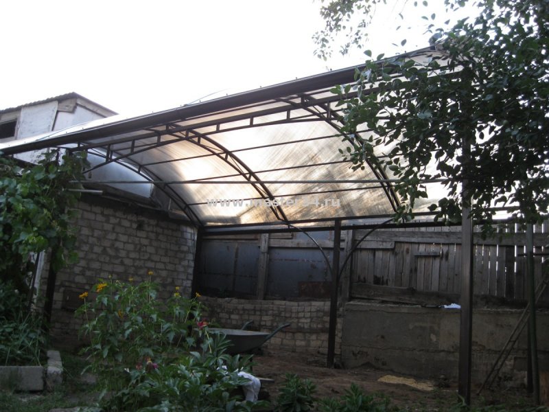 Grape Trellis
