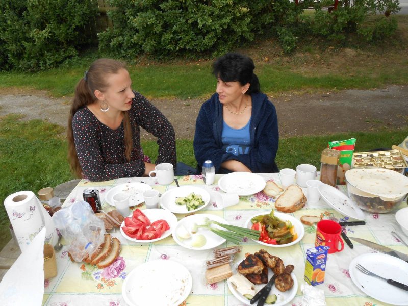 Компания застолье природа