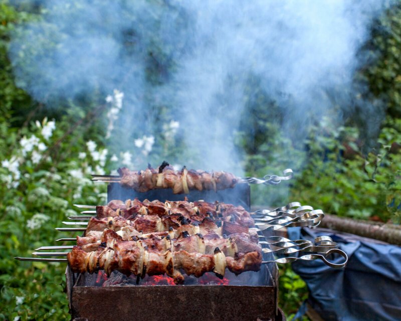Праздничное застолье с шашлыком
