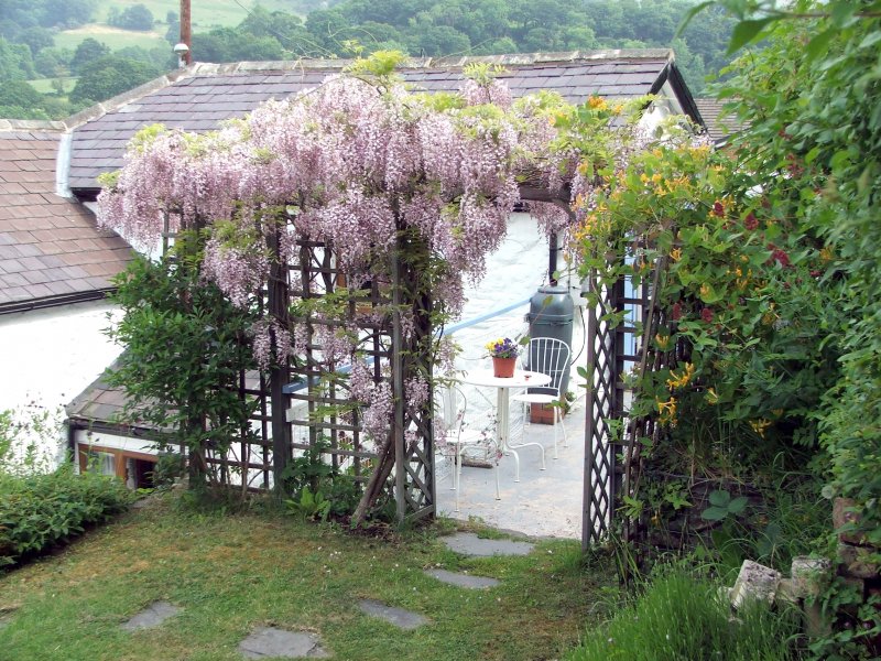 Пергола с глицинией (Pergola with Wisteria)3 d Max