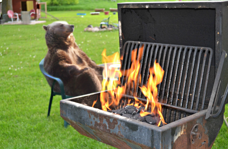 Гриль Park BBQ-914