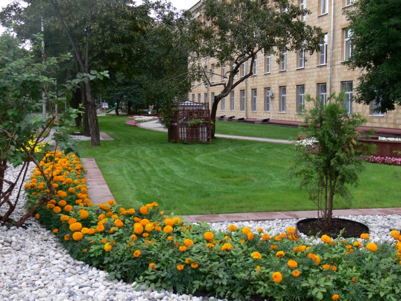 Благоустройство больниц