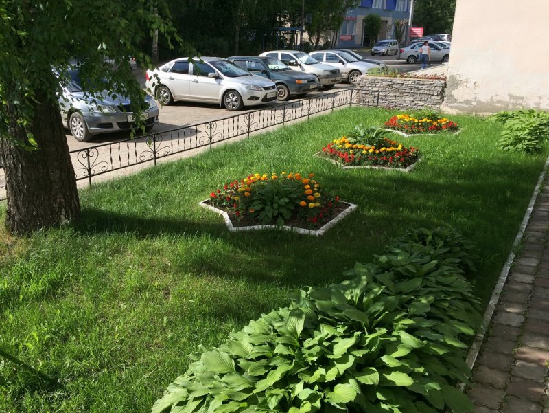 Благоустройство Митино деревья цветники