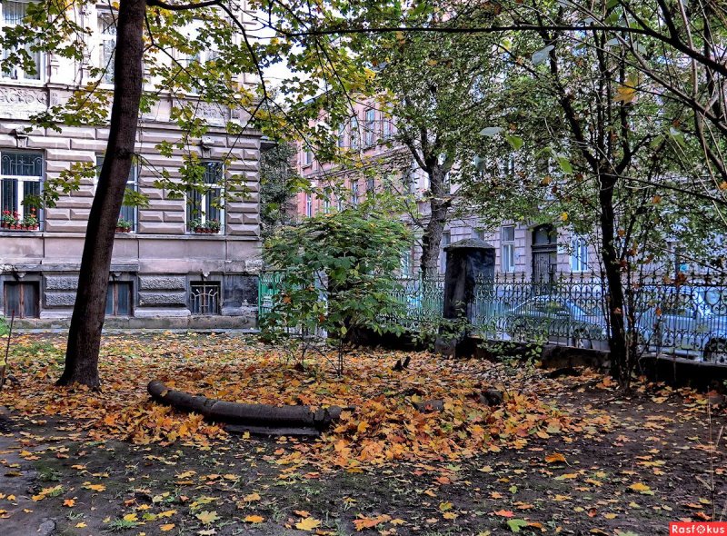 Осень в московских дворах