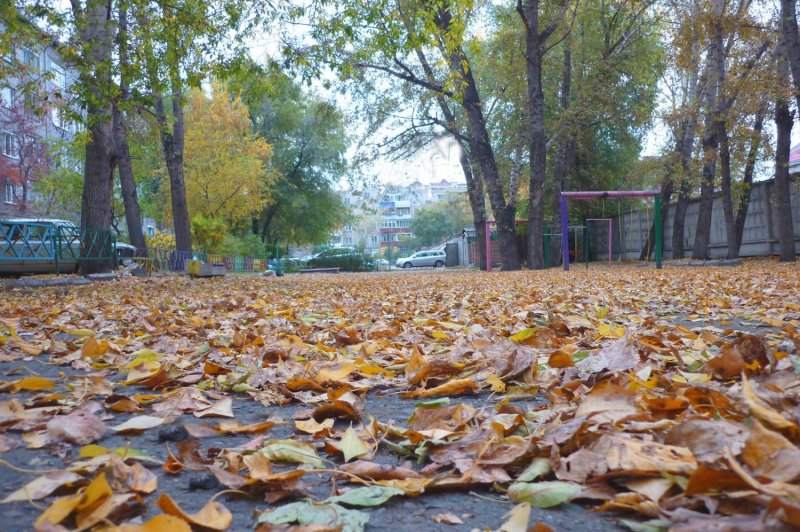 Осенний двор