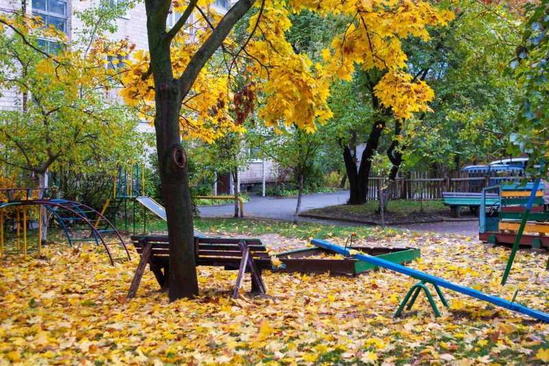 Картинка мой дворик фото
