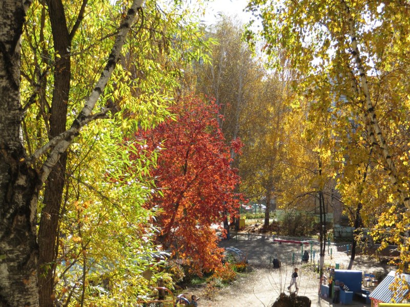 Осень во дворе