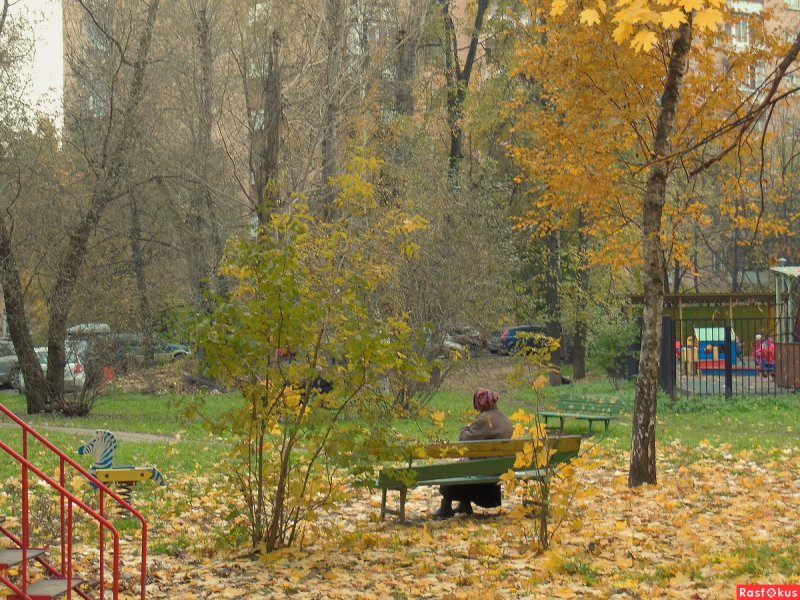 Осень город двор Россия