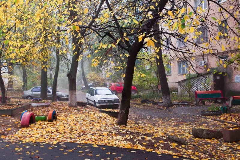 Осень город двор