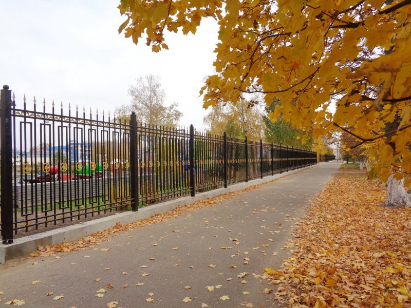 Осень во дворе
