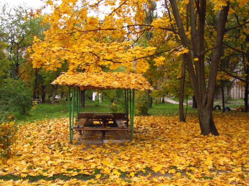 Осенний двор
