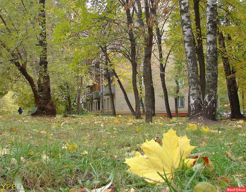 Осенние дворы Молостовых
