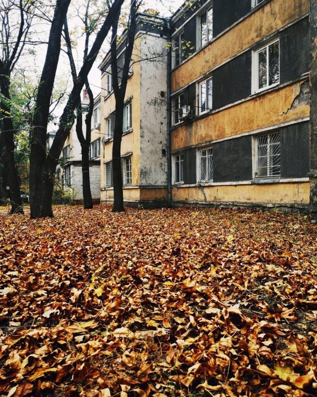 Воронежские дворы осенью