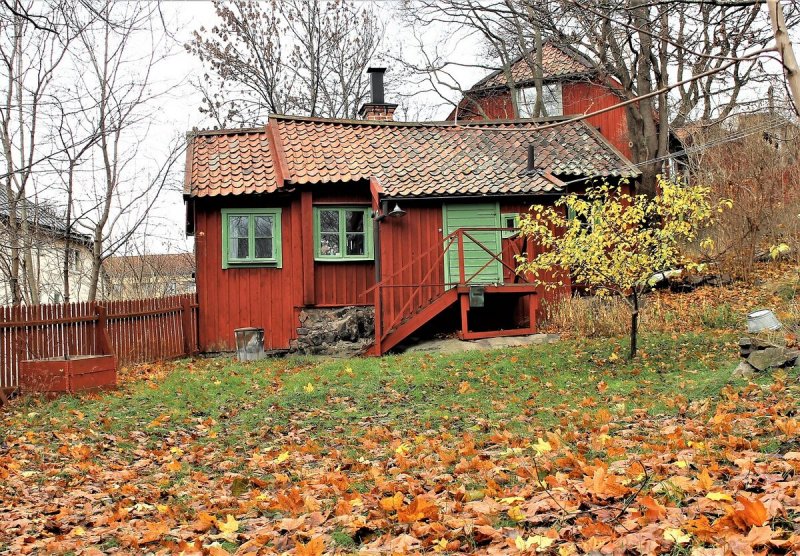 Осенний сад