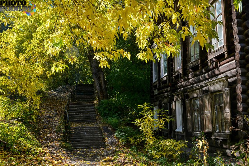 Улица осенняя Томск