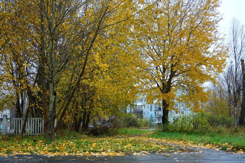 Осень во дворе в России