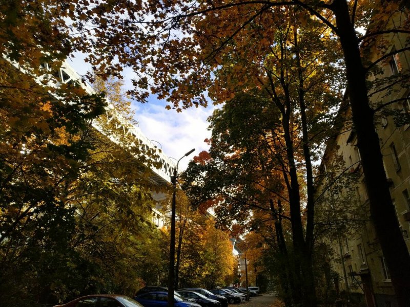 Осень лестница