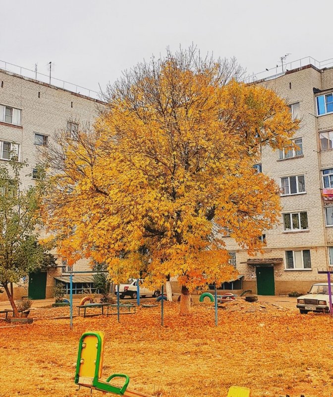 Приозерск осень