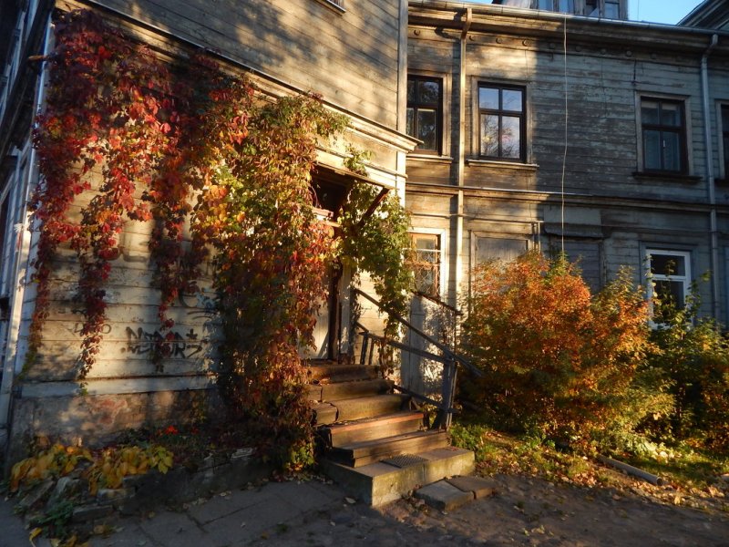 Осень город дворик