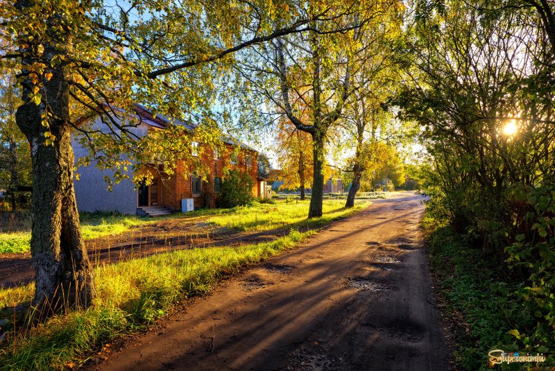 Фон осень двор