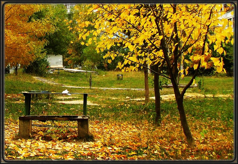 Осенний двор