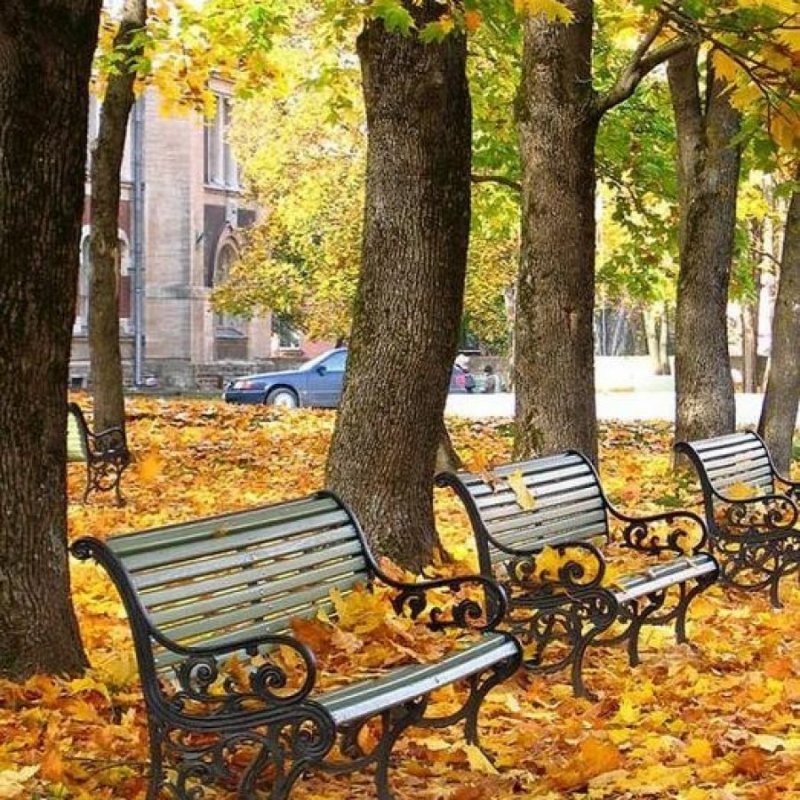 Осень в деревне