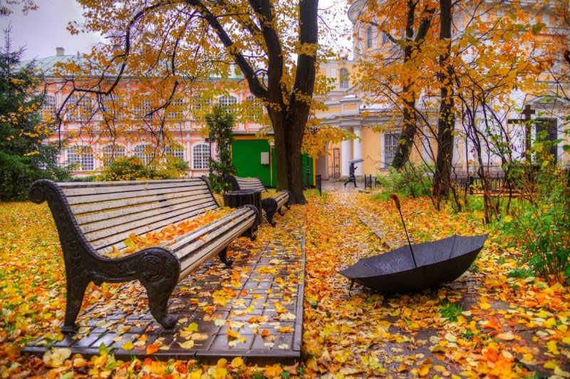 Солнечная осень в городе
