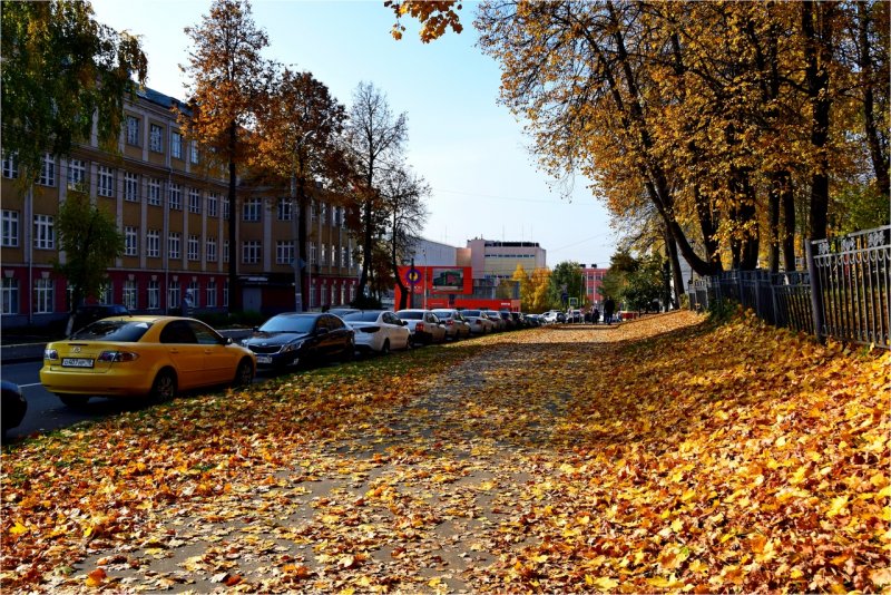 Пенза осень город сверху