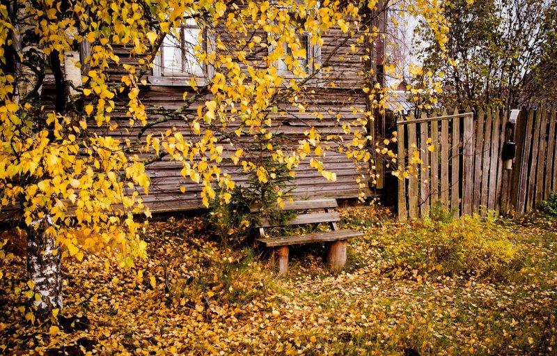 Осенний деревенский сад