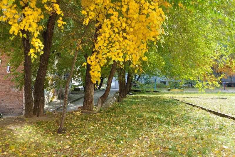 Осенний город