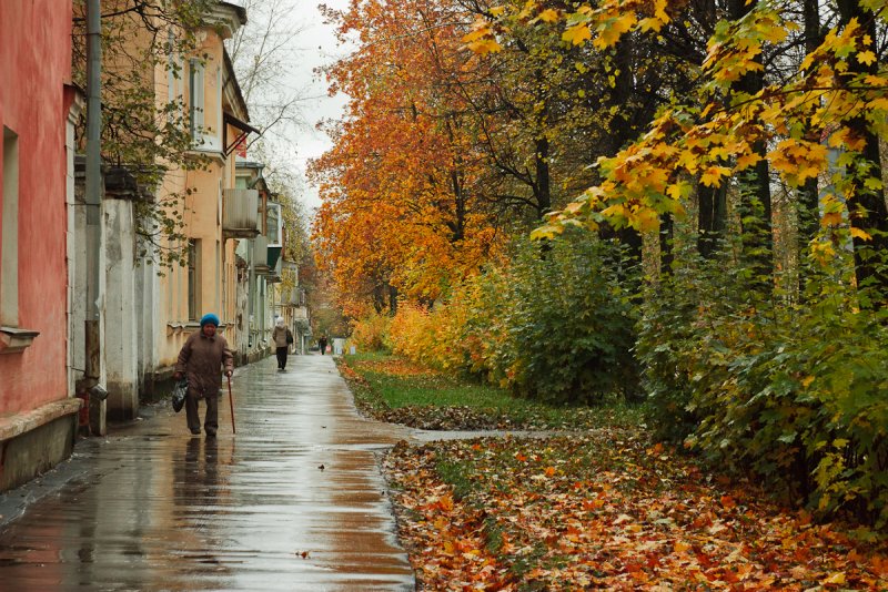 Осенний двор школы