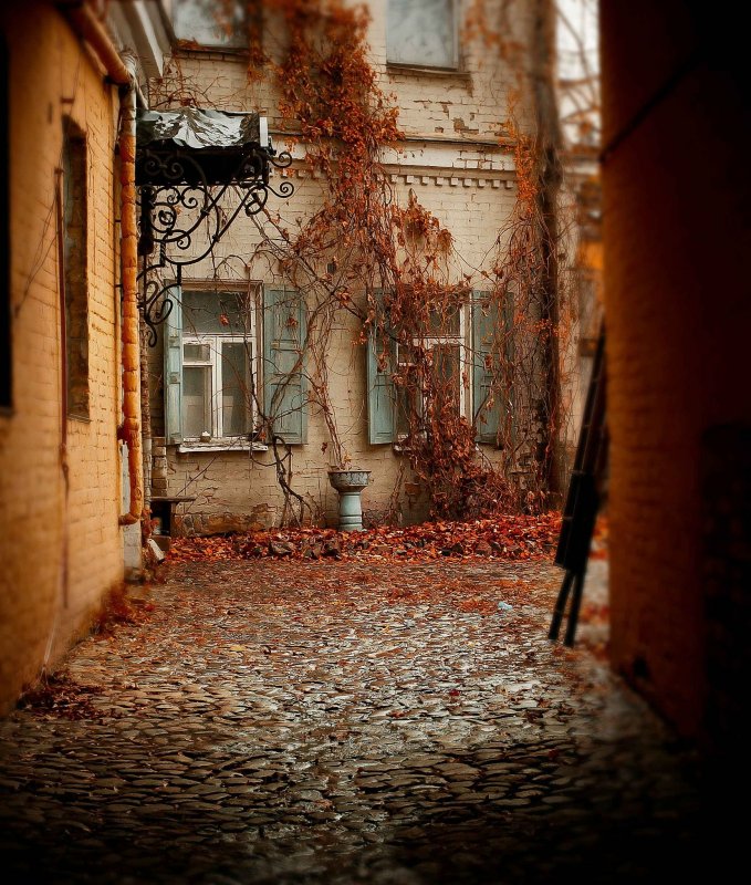 Осень город двор