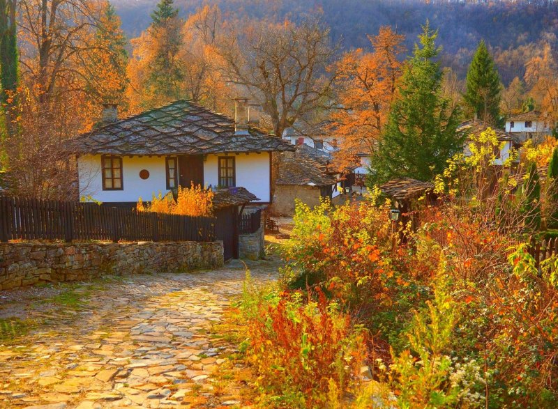 Дворник осенью