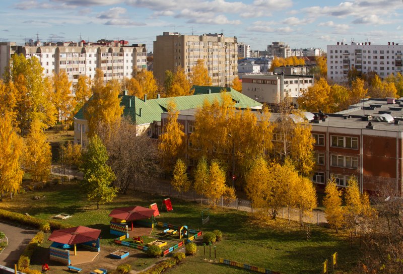 Лиственница во дворе город
