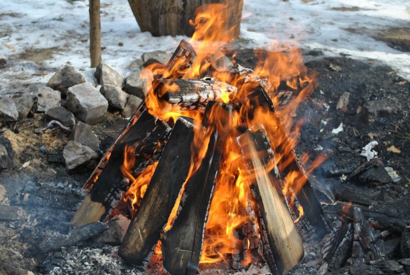 Дрова для костра