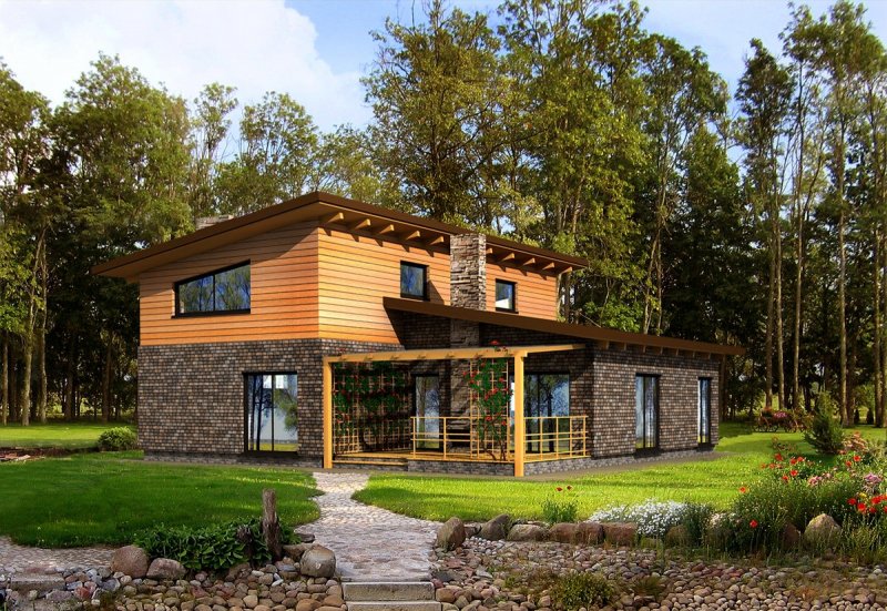 Barn House с плоской крыши