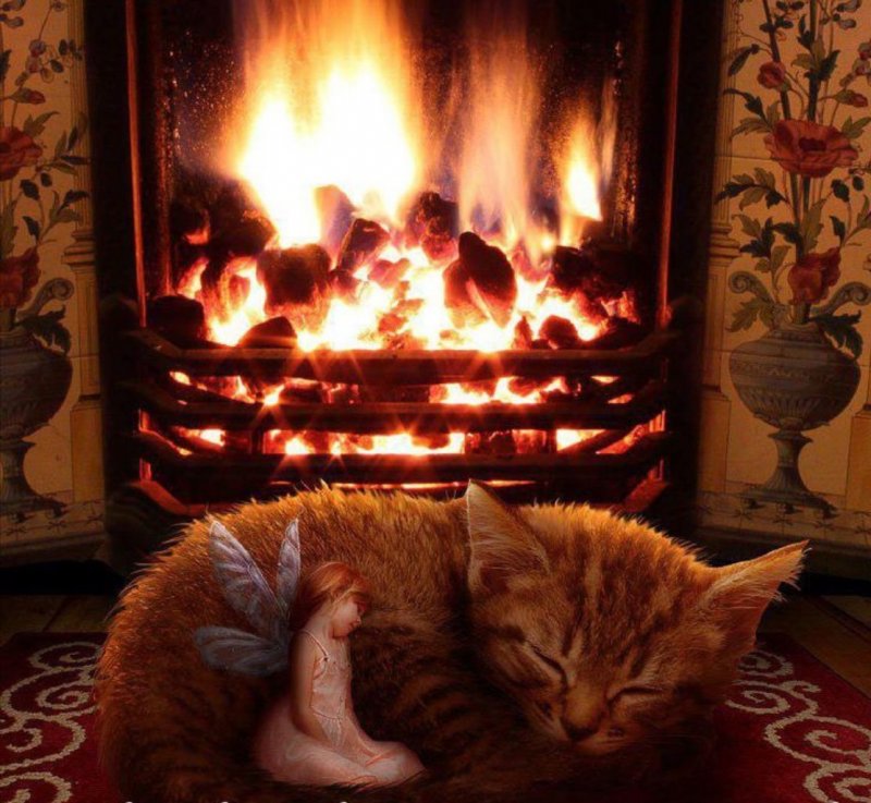 Кот у камина