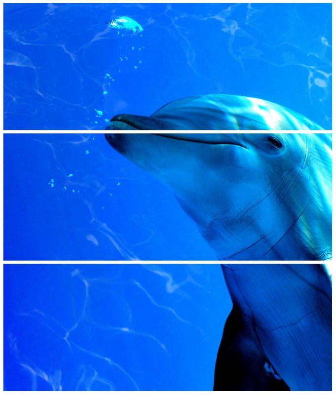 Dolphins панно 50x50