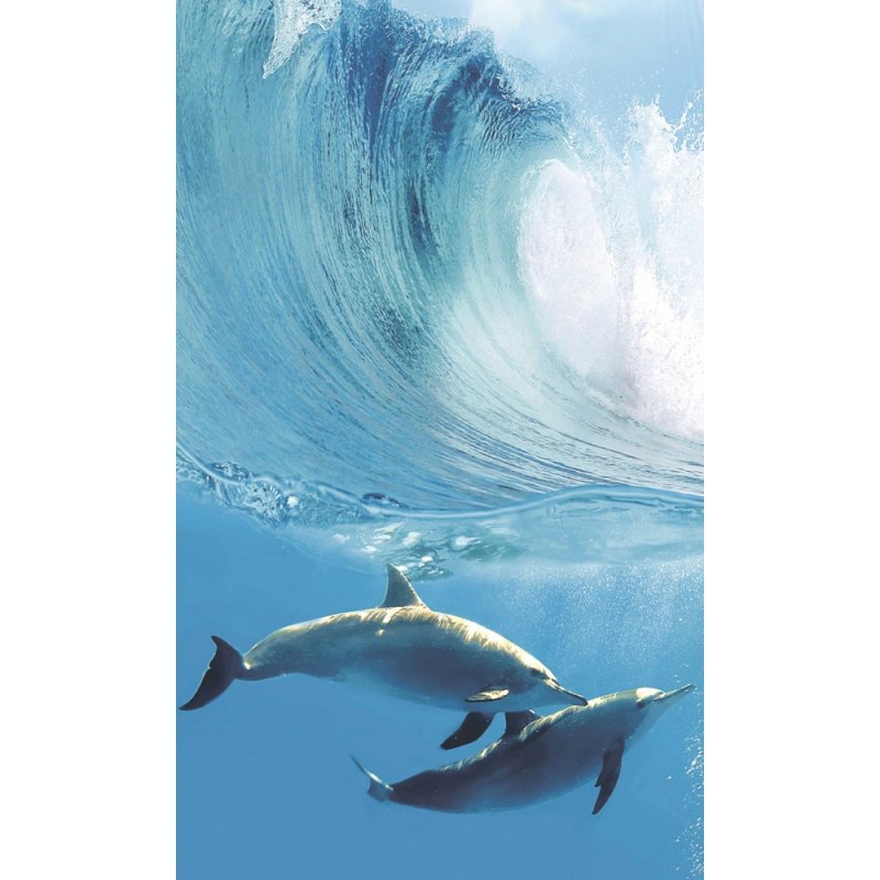 Porto Dolphins а 100x60